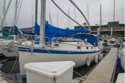 1981 Nonsuch Classic 30