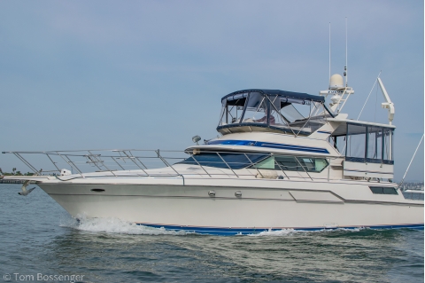 1990 Wellcraft 46 Cockpit Motor Yacht