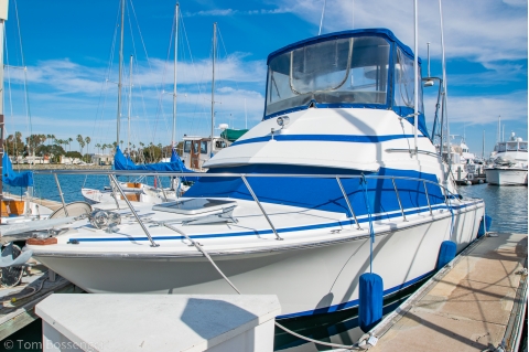 1984 Bertram 30 Flybridge Cruiser