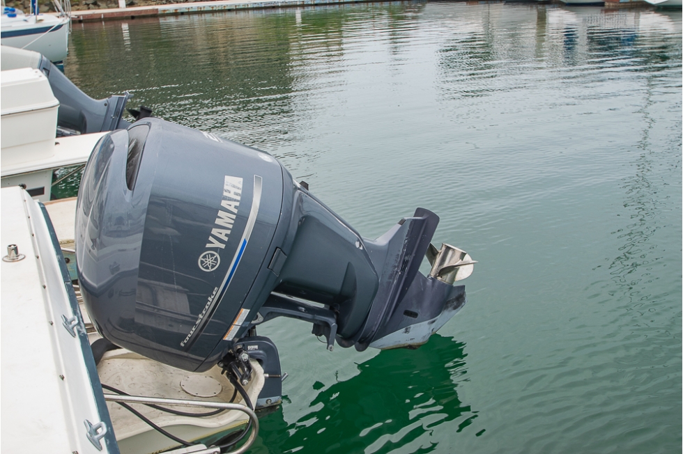 1990 Grady-White Seafarer 22