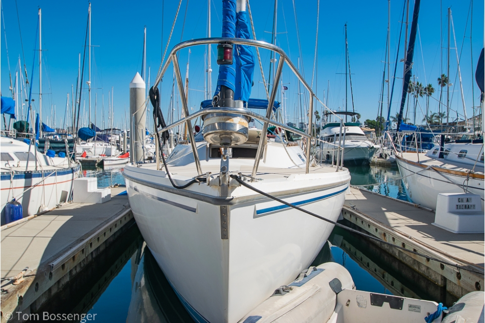 1984 Catalina 36 1984 Catalina 36