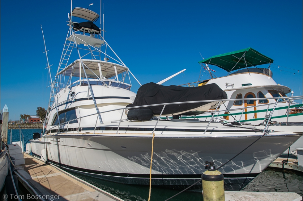 1989 Bertram 50 Convertible Sportfisher